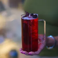 Tisanas Frutales